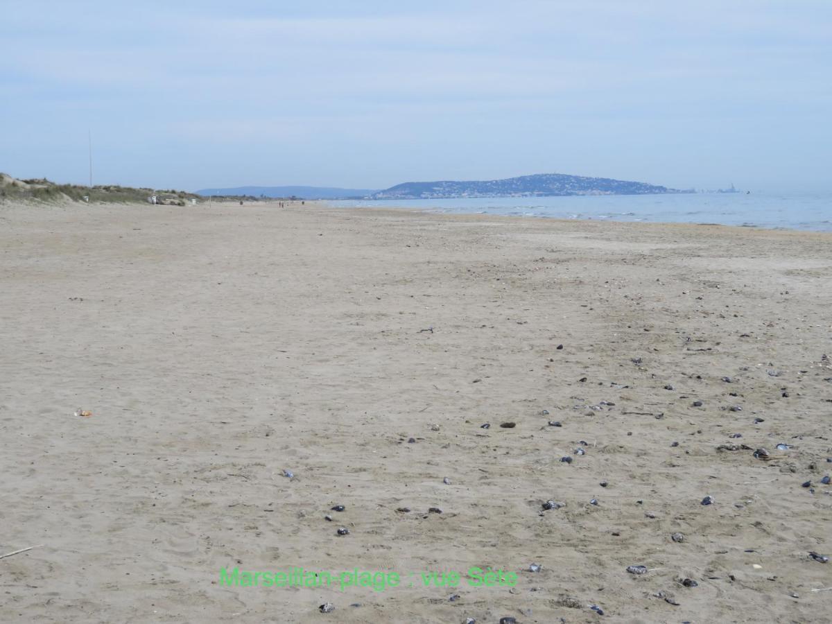 Horte Neuve Marseillan  Exterior photo